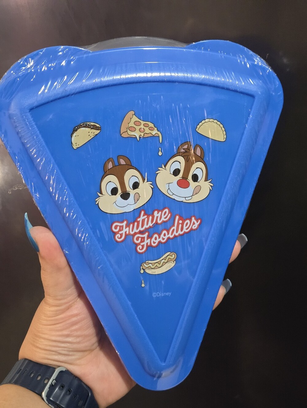 Disney Chip 'n' Dale "Future Foodies" Blue Snack Tray